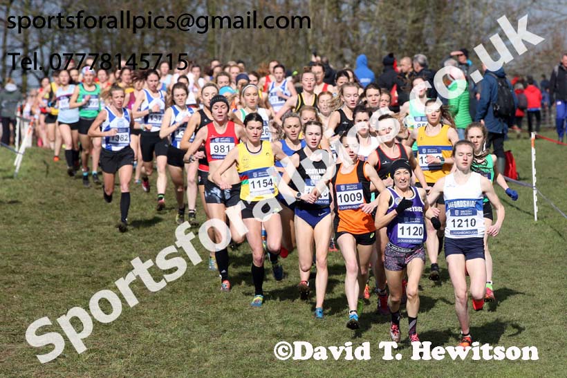 Senior womens 2019 British Athletics Inter Counties Cross Country, Prestwood Hall, Loughborough. Photo:  David T. Hewitson/Sports for All Pics